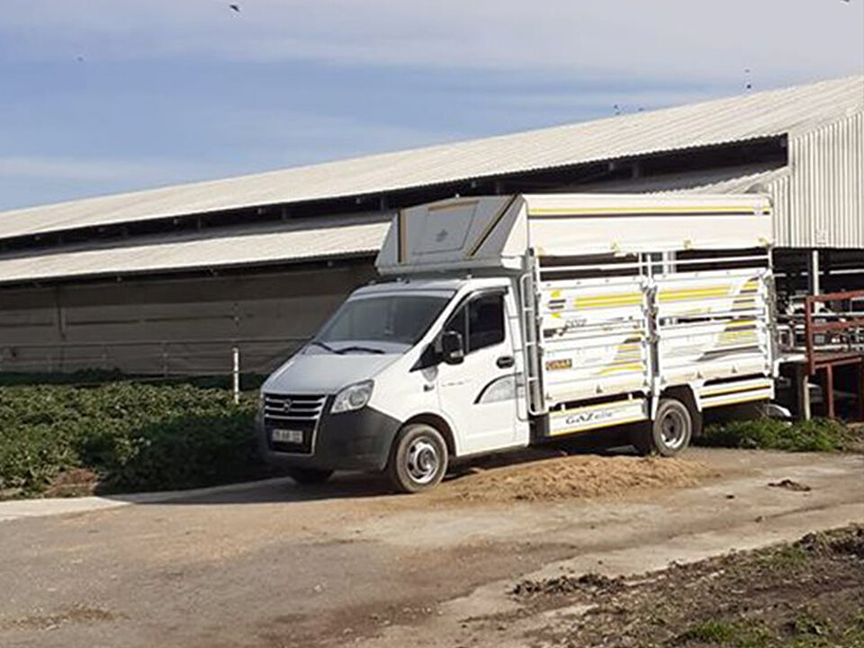 Турецкая ГАЗель и газелисты Турции | Луидор Россия | Дзен