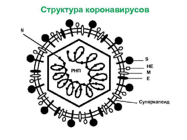 Строение 19