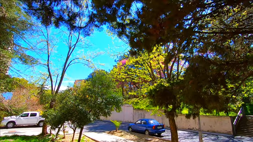 Сочи переулок Павлова\ Школа\ Дома\ Лазаревское улицы сегодня весной 2020