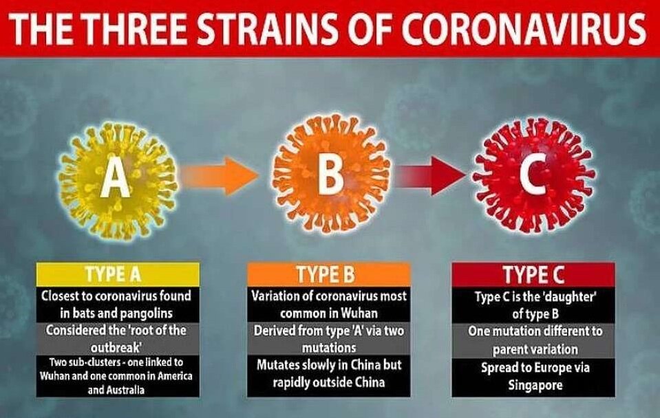 Источник фото salik.biz