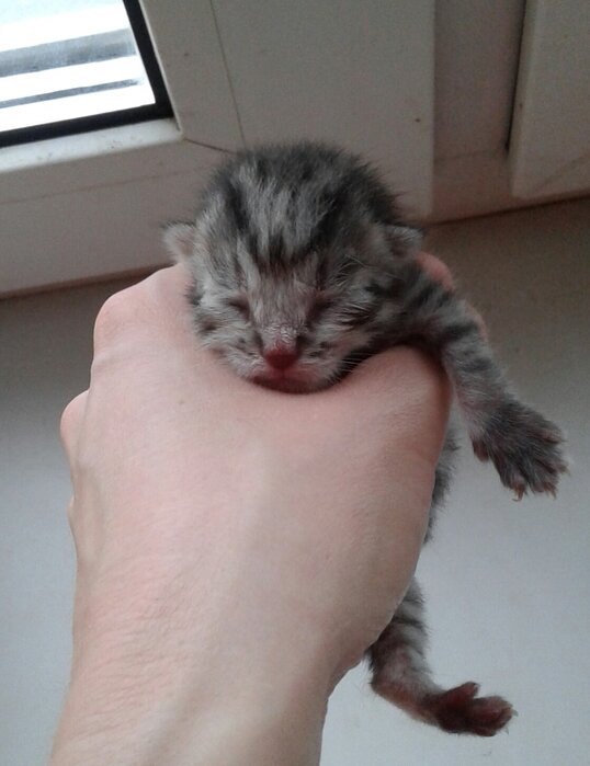 Первый день жизни