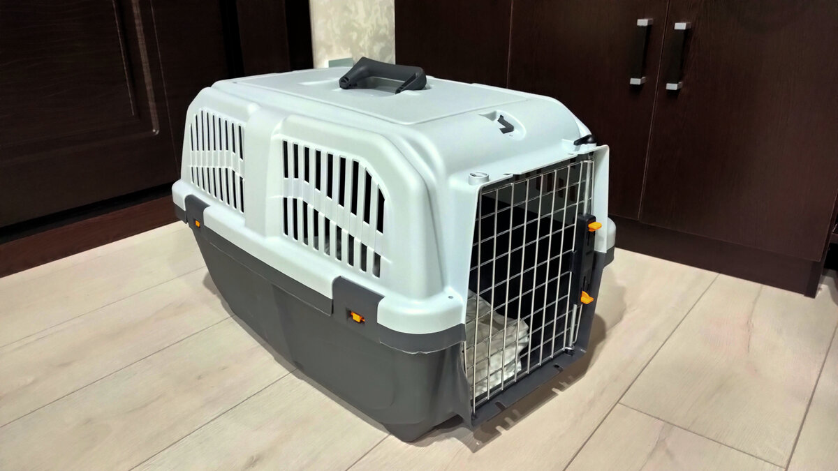 Наша переноска для мейн-куна