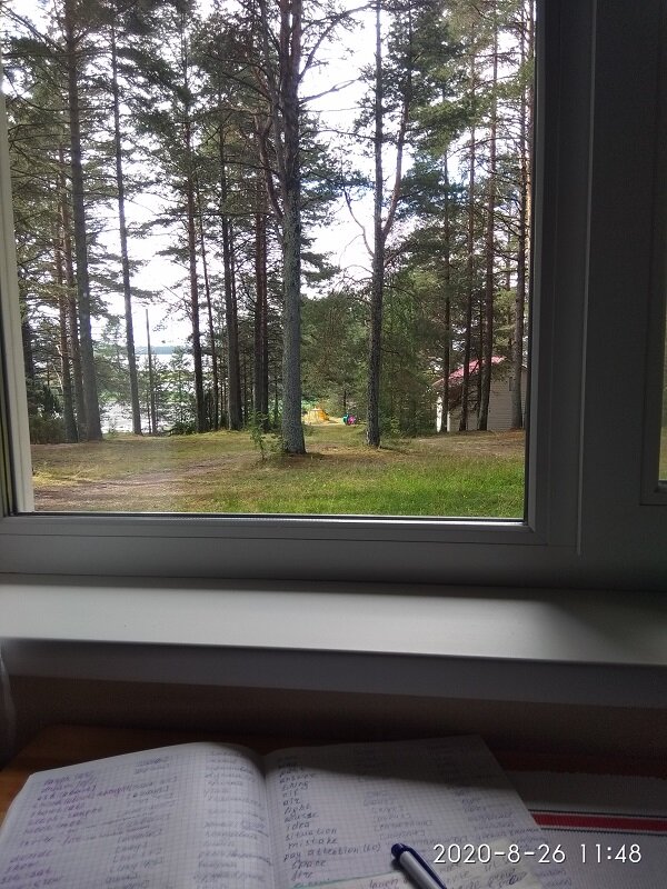 Вид из окна моего номера. Сосны и озеро.