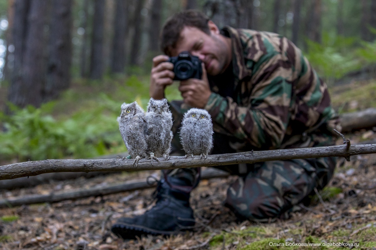  Фото: dront.ru