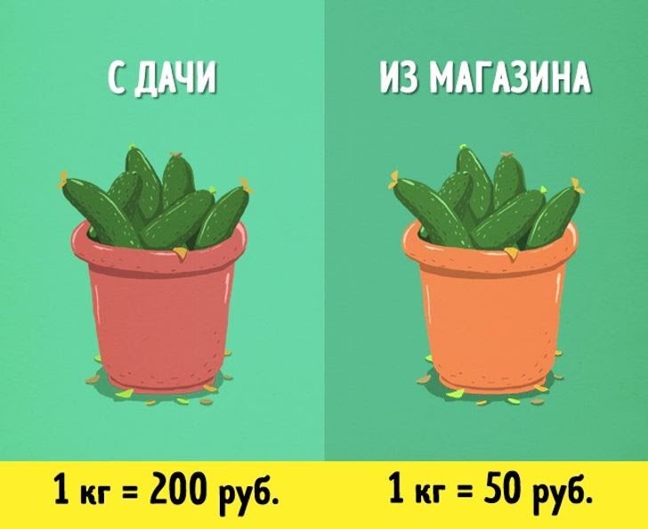 Страсть к экономии
