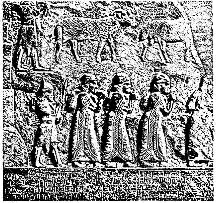 Курдючные овцы на ассирийском барельефе. 745 год до Н.Э.