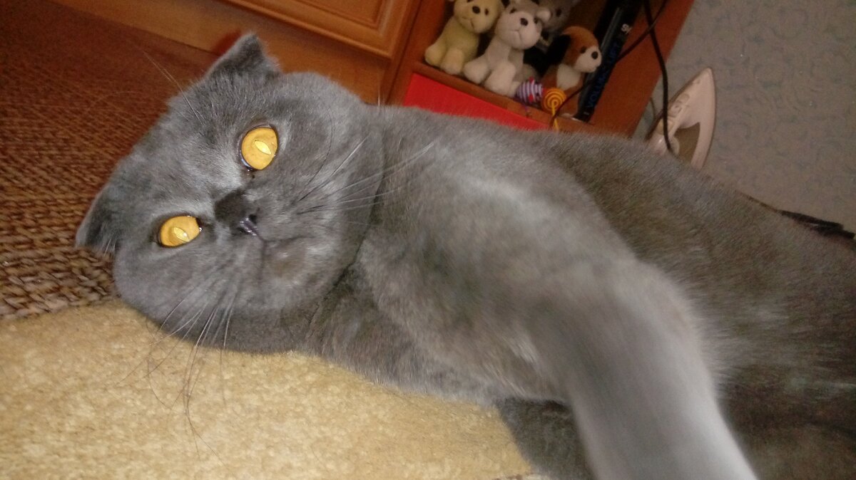 послушненький...