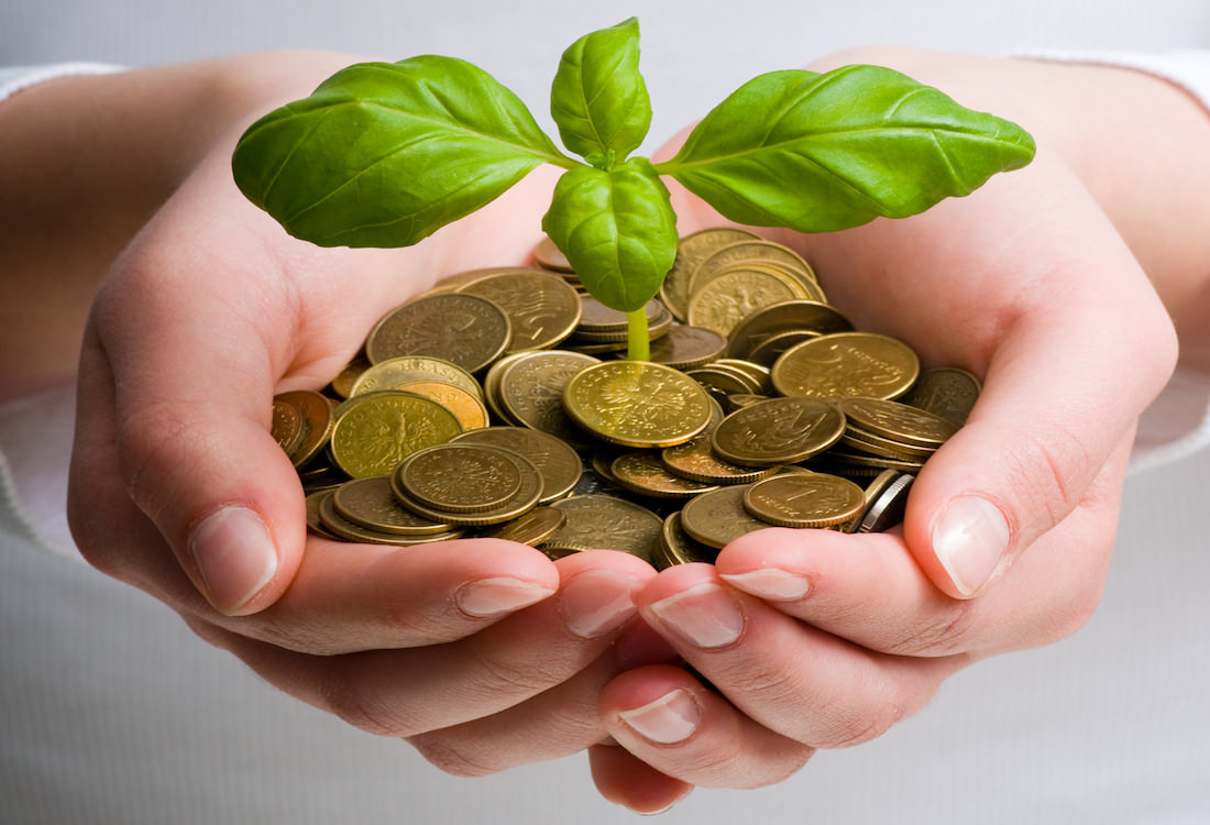 Фотография взята из открытых источников Pixabay