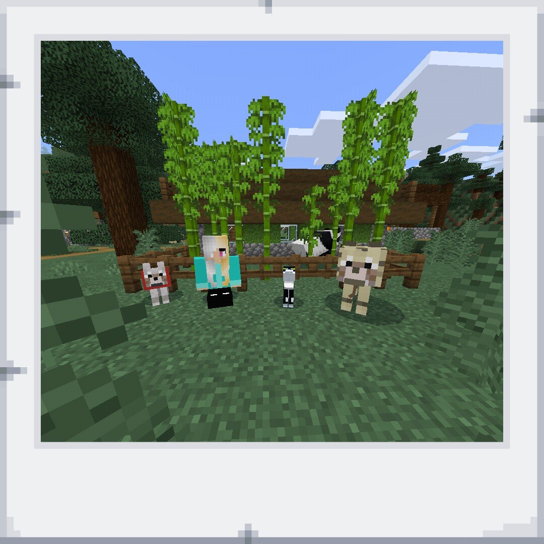 (это фото из старого мира с модами (я долго там залипал (не в тему))) 