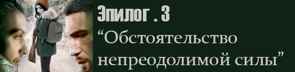 Обстоятельство непреодолимой силы. Эпилог. 3