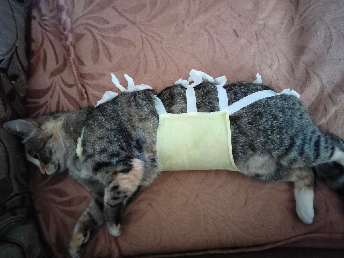 Дашуля спит крепким сном