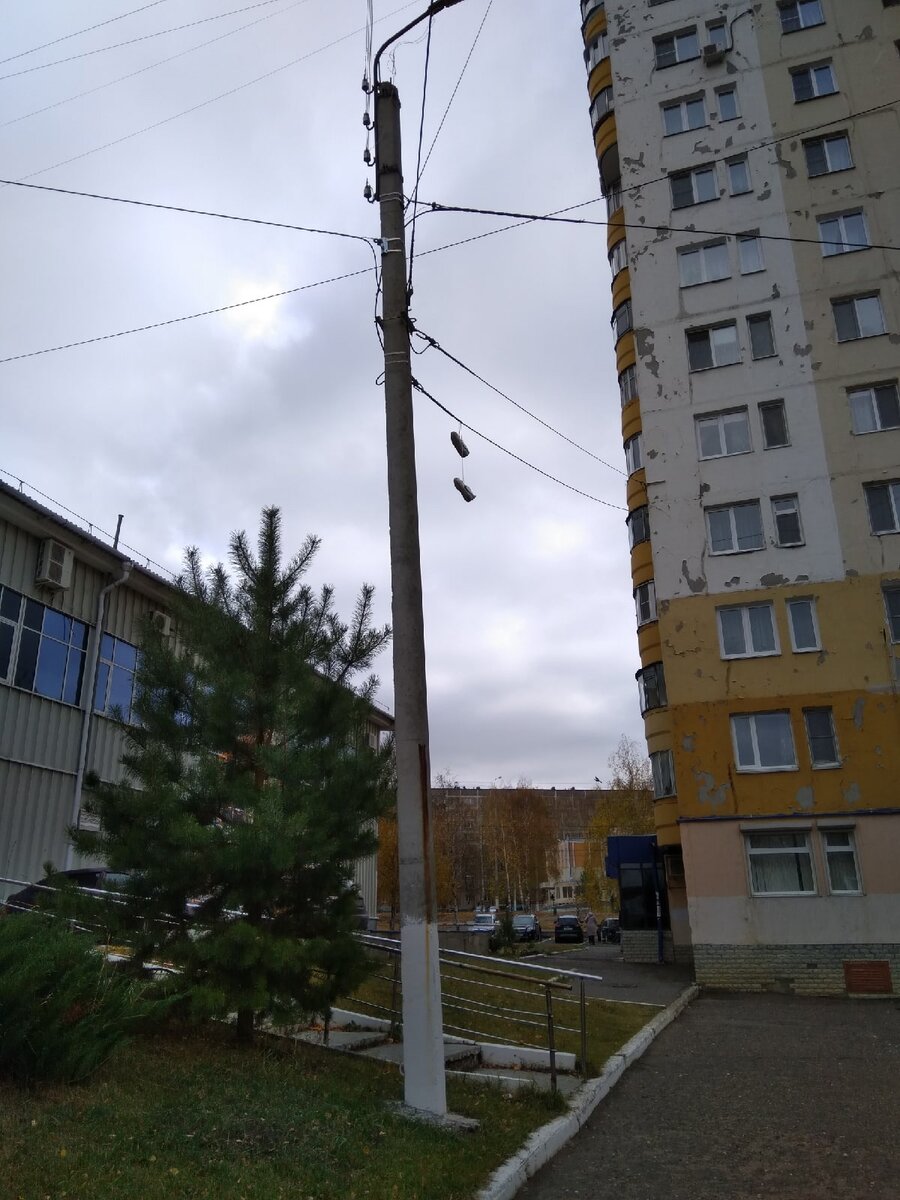 Даже в таком маленьком городе как у меня я наблюдал данную картину 