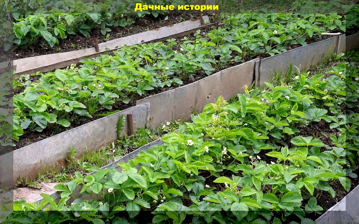 https://vk.com/photo-159774511_457247443