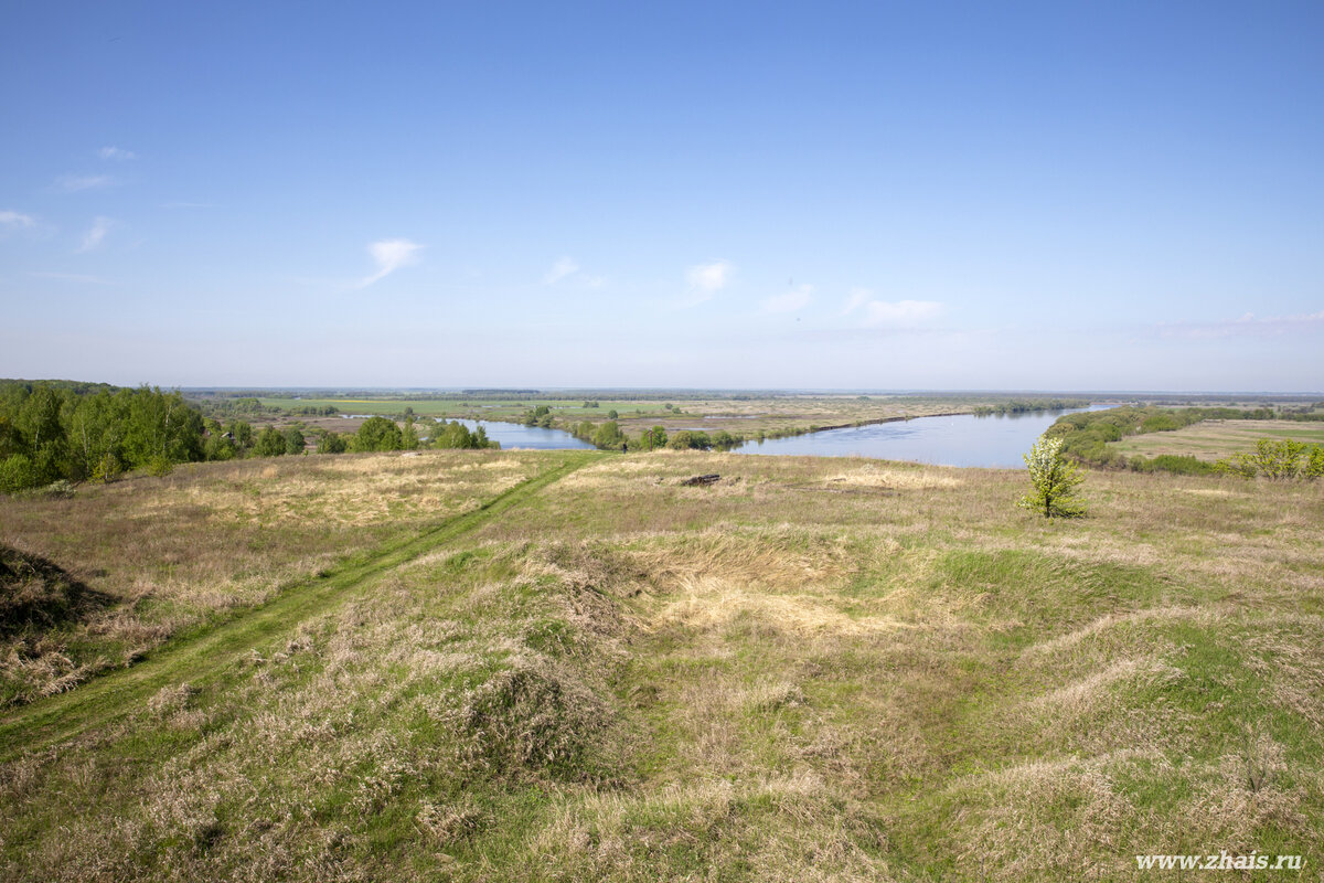 Ново-Ольговское городище (рязанский "Стоунхендж") | ИНТЕРСЕТ | Дзен