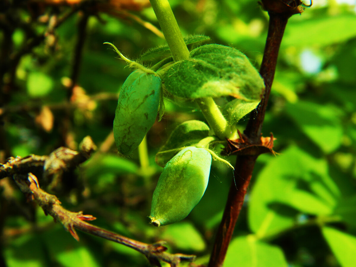 фото автора канала