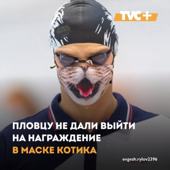 из свободных источников