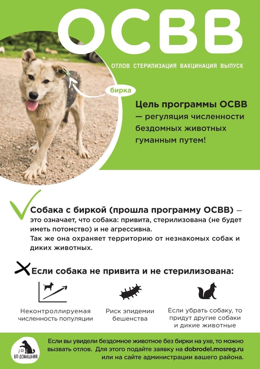 Наглядный макет ОСВВ (автор Татьяна Жукова).