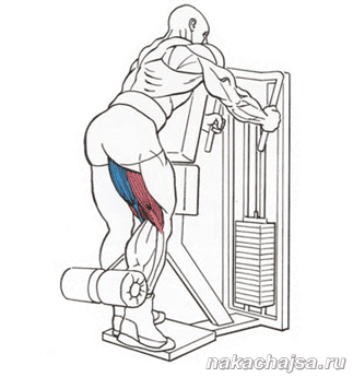 Сгибание бицепса бедра  стоя в блоке