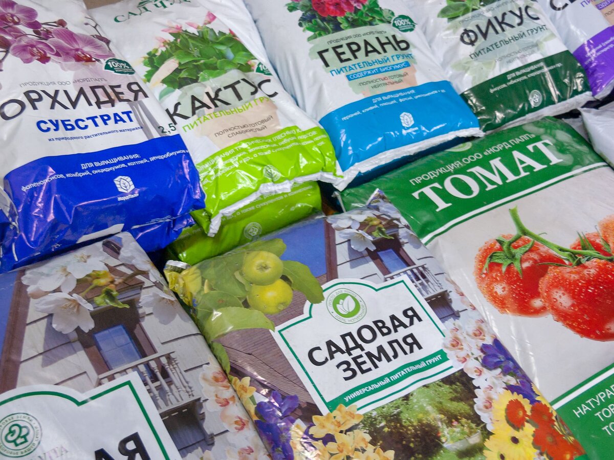 Фото: alexandertokarev.ru