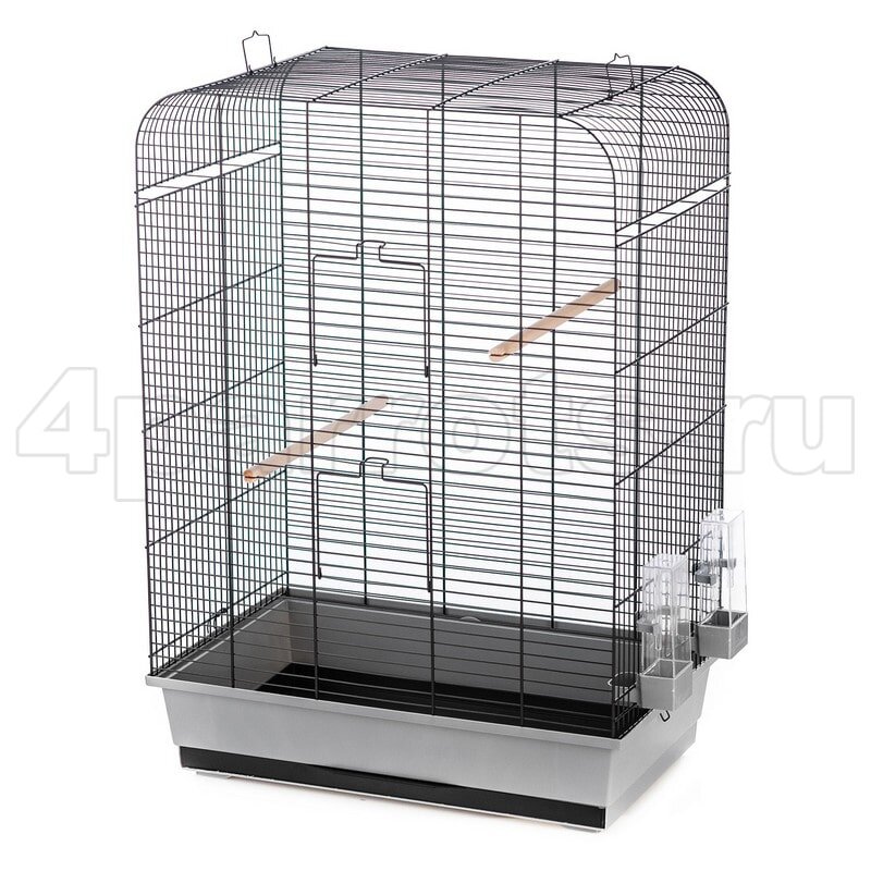 В такой клетке птичка будет чувствовать себя комфортно