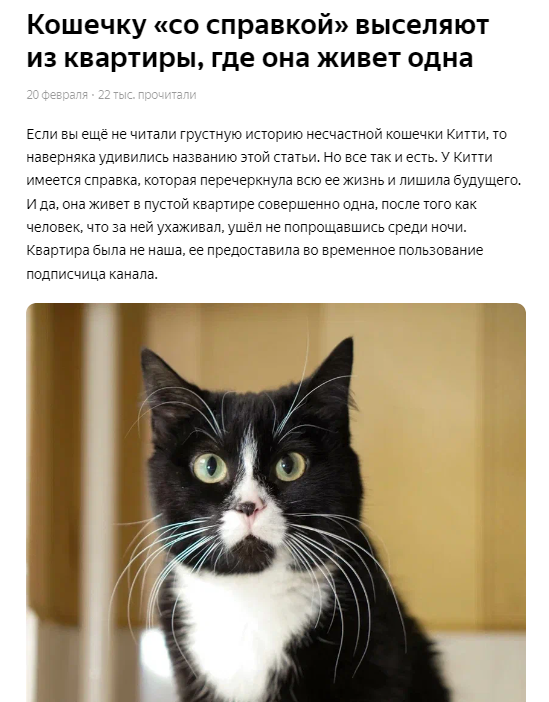 Кошечка "со справкой", которая жила одна в квартире, улетела к "маме ...