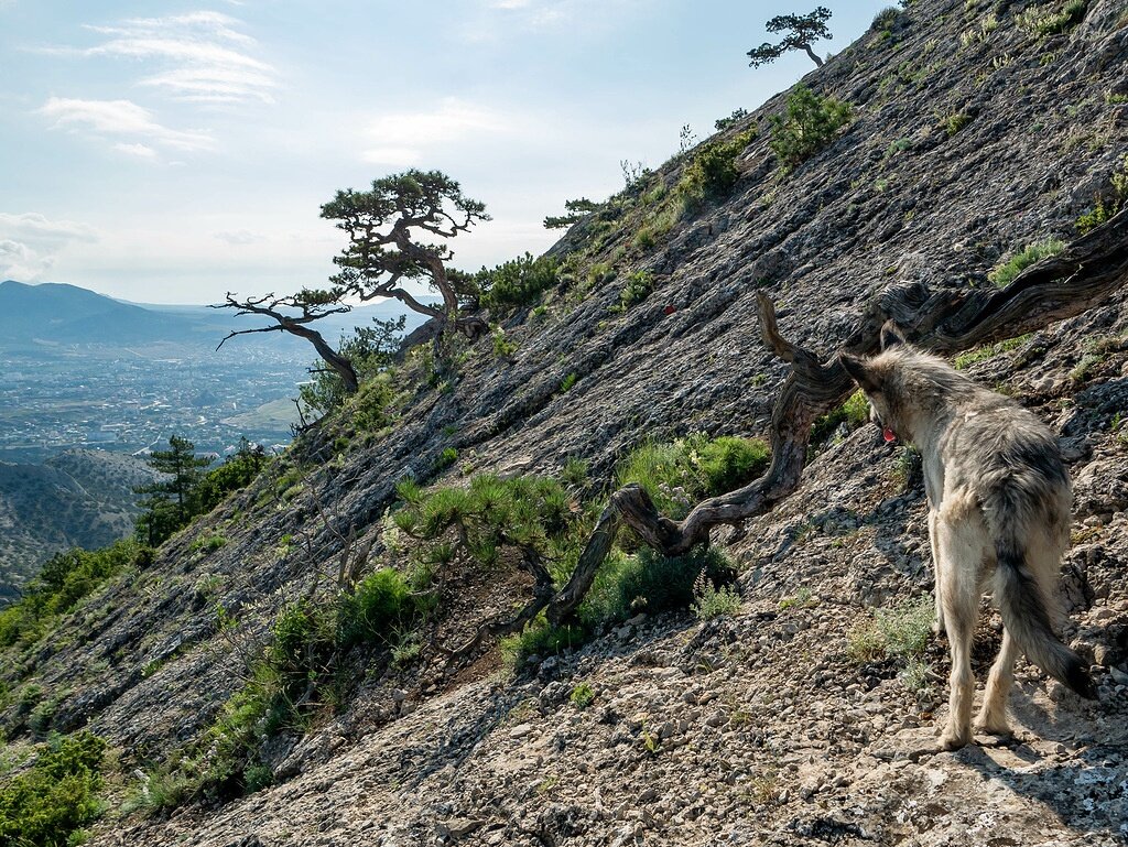 Подъём на гору Сокол