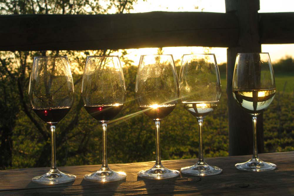 Вино считается одним из самых благородных напитков во всём мире. Виноделие берёт своё начало с незапамятных времён.-2