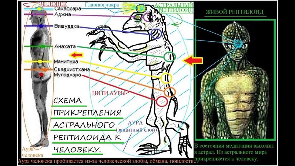 Схема прикрепления астрального рептилоида к человеку