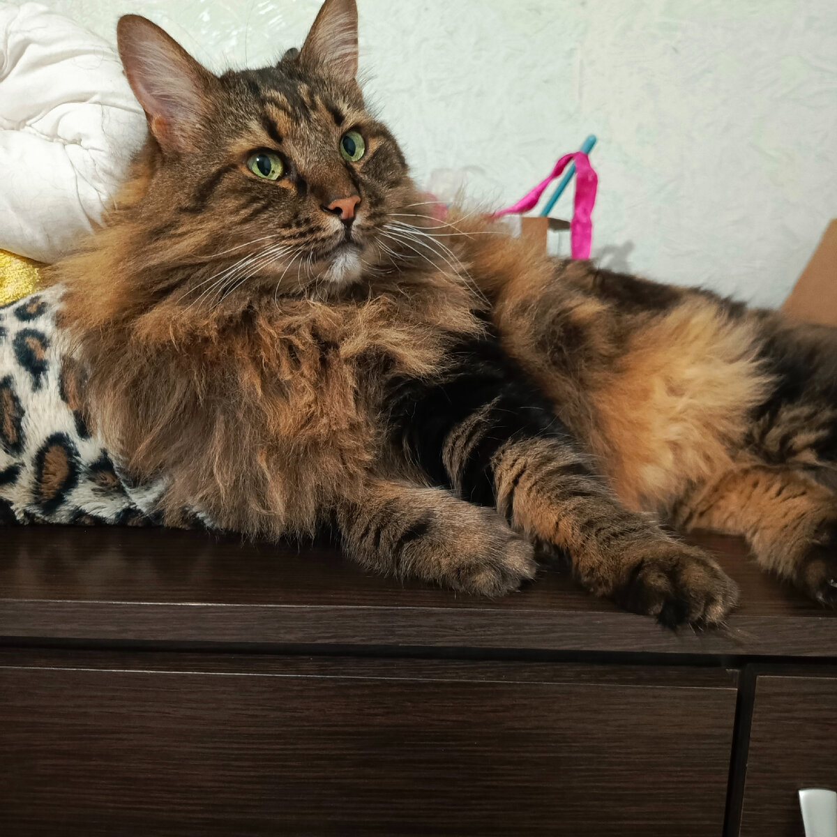 Кузя красавчик