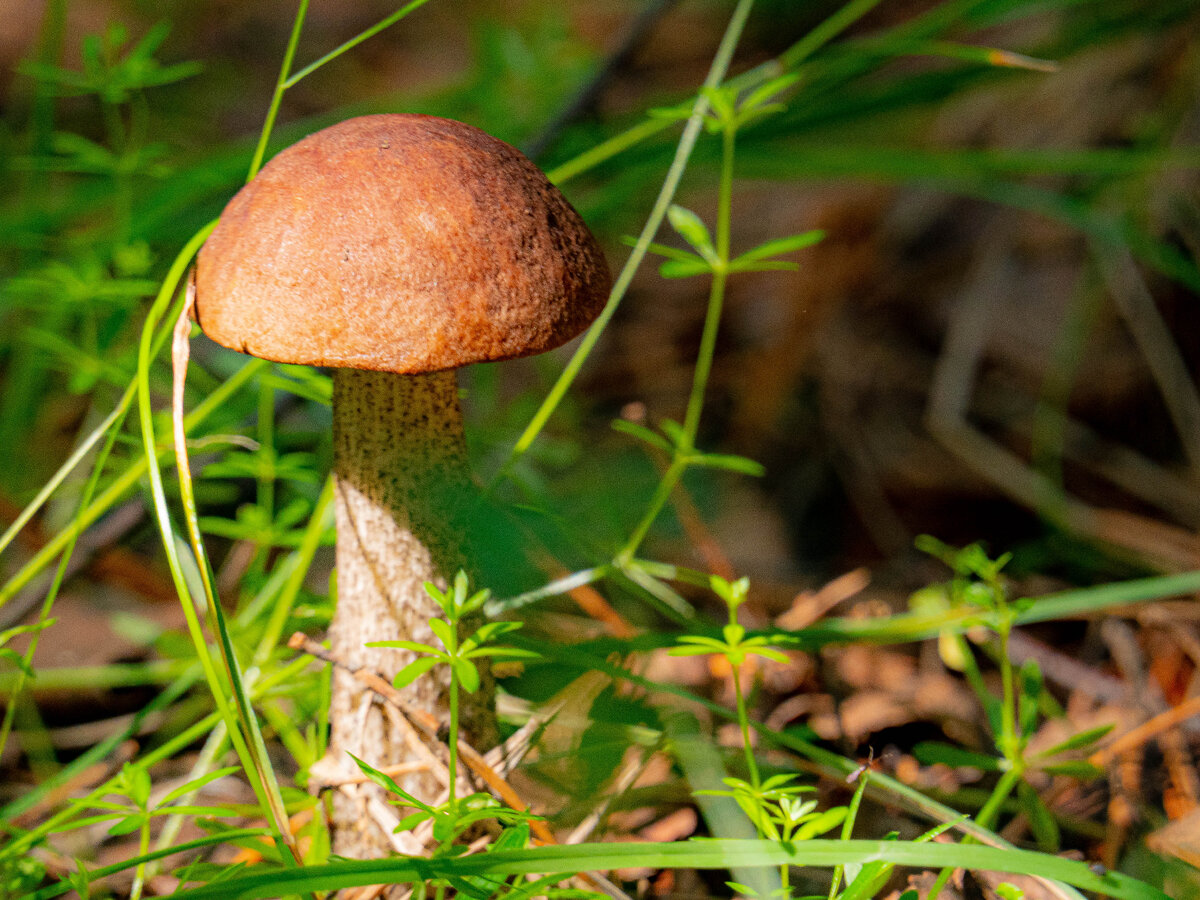 фото принадлежит автору