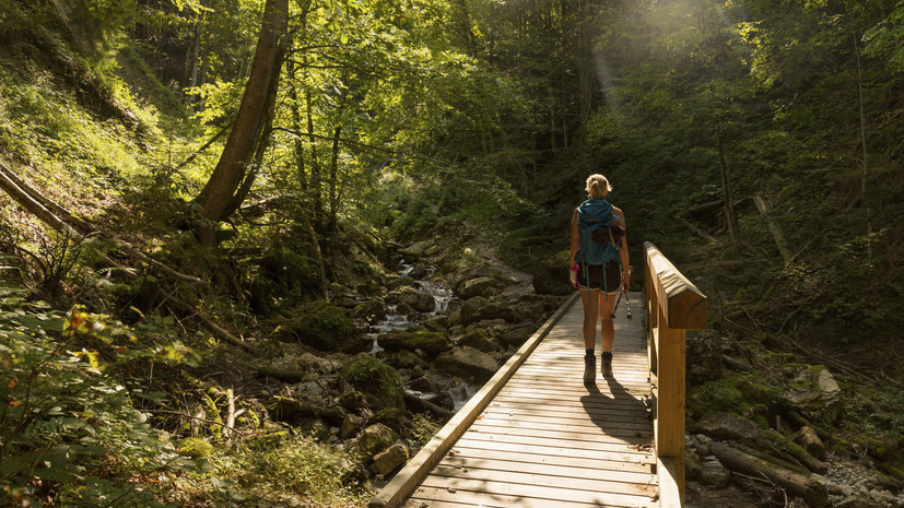   Gettyimages.ru Westend61