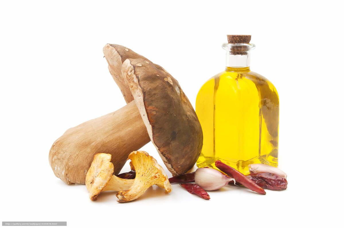 Лучшие друзья