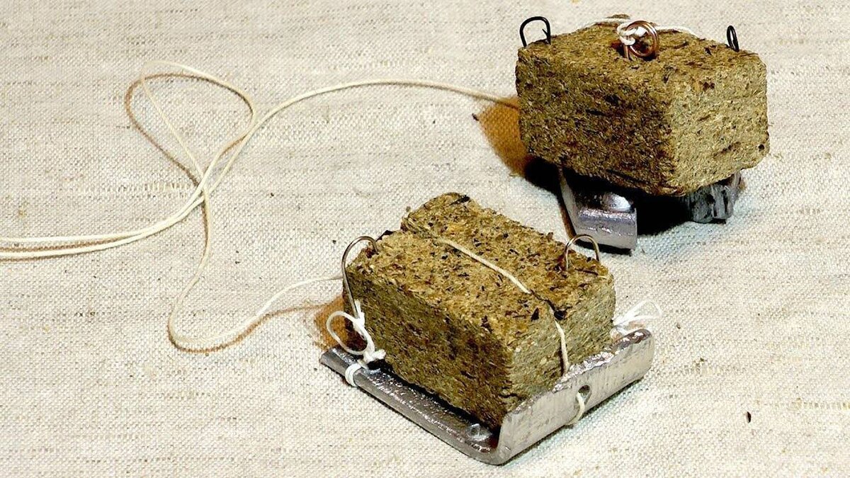 Фото с сайта: https://activefisher.net