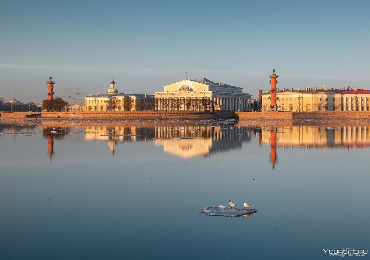 Стрелка Васильевского острова с воды