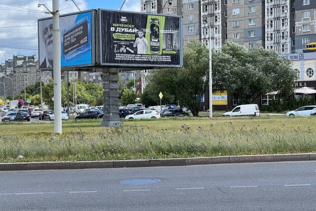 Фото: Калининград.Ru📷Мавританский газон на улице Горького
