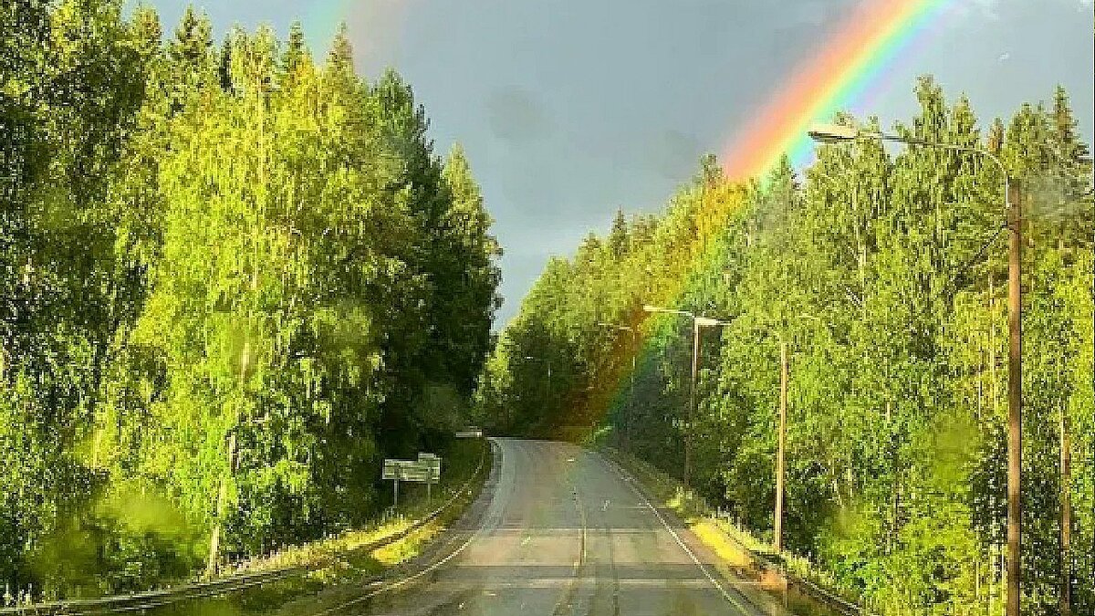 Картинка взята в интернете