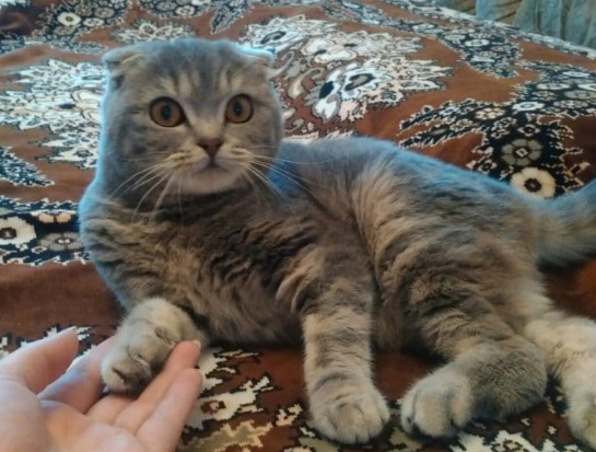 "Ты правда меня не бросишь!?"