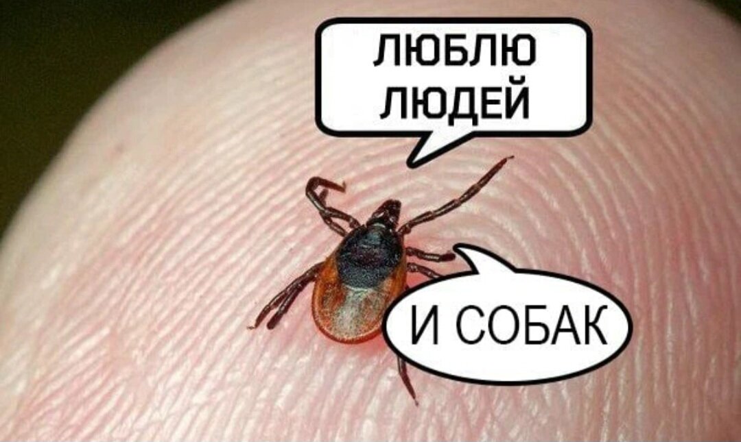 Фото из интернета. 