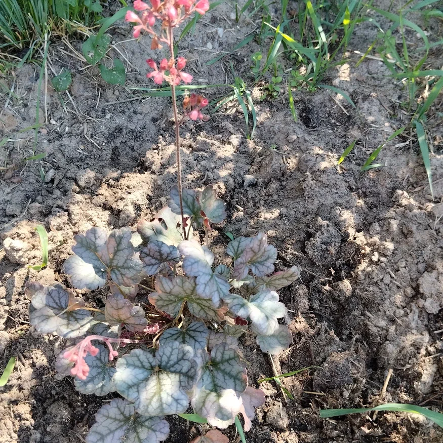 Такой она была год назад