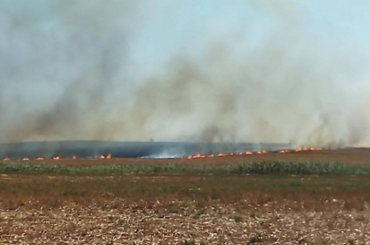    Пожар в Анапе возле села Цибанобалка локализован на 1500 кв. метрах