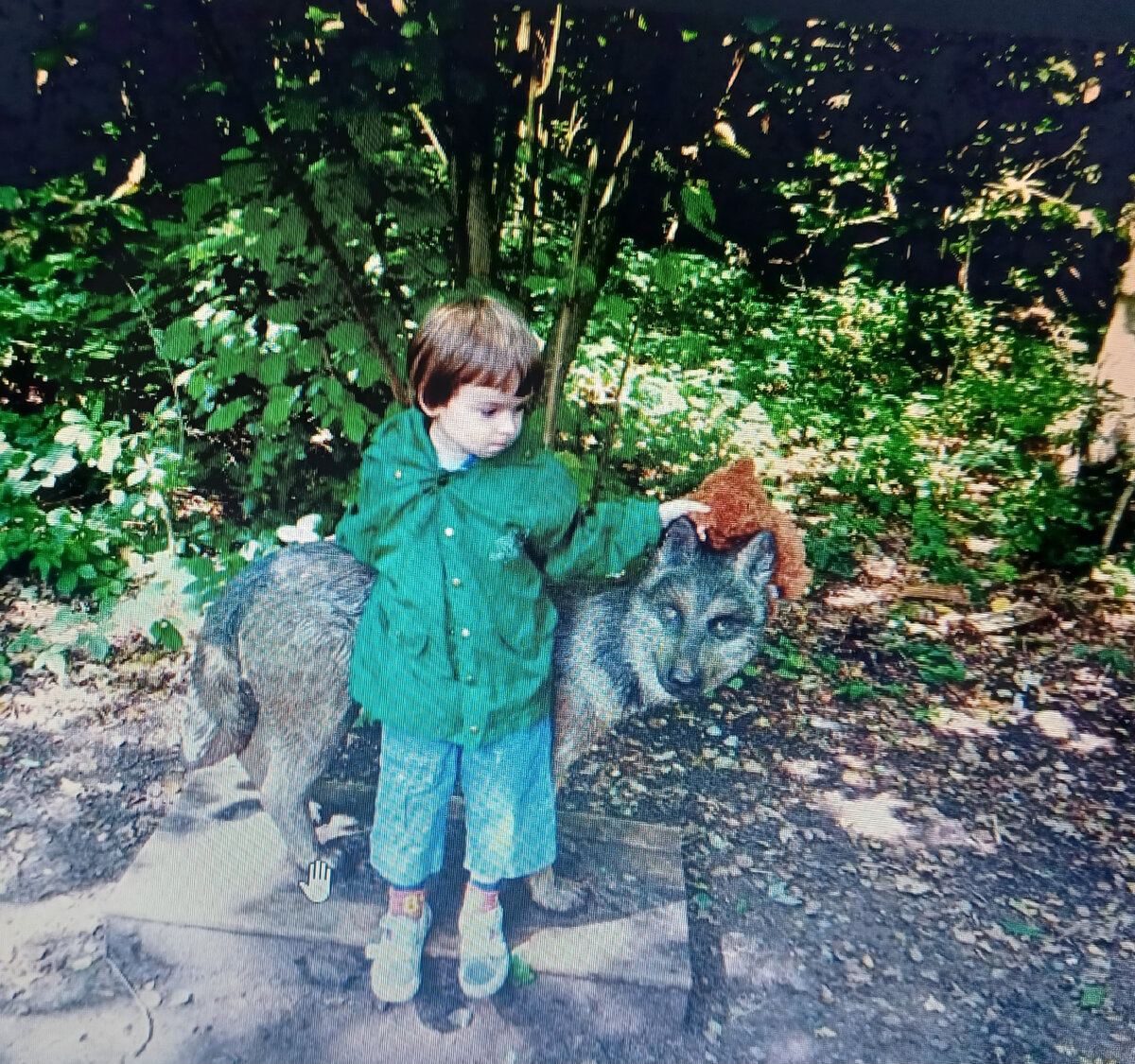 Хоть с волком рядом постоять,..