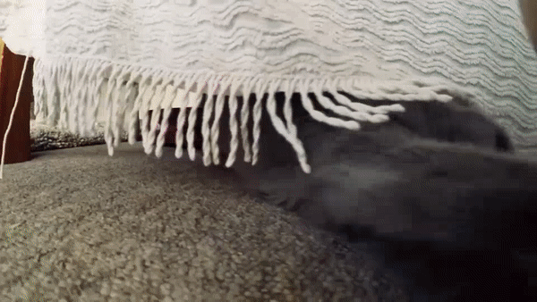          .    ,        .      ,   ?-7