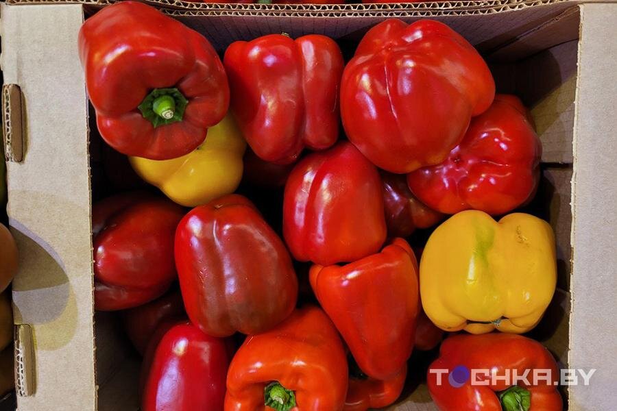    Фото: Tochka.by