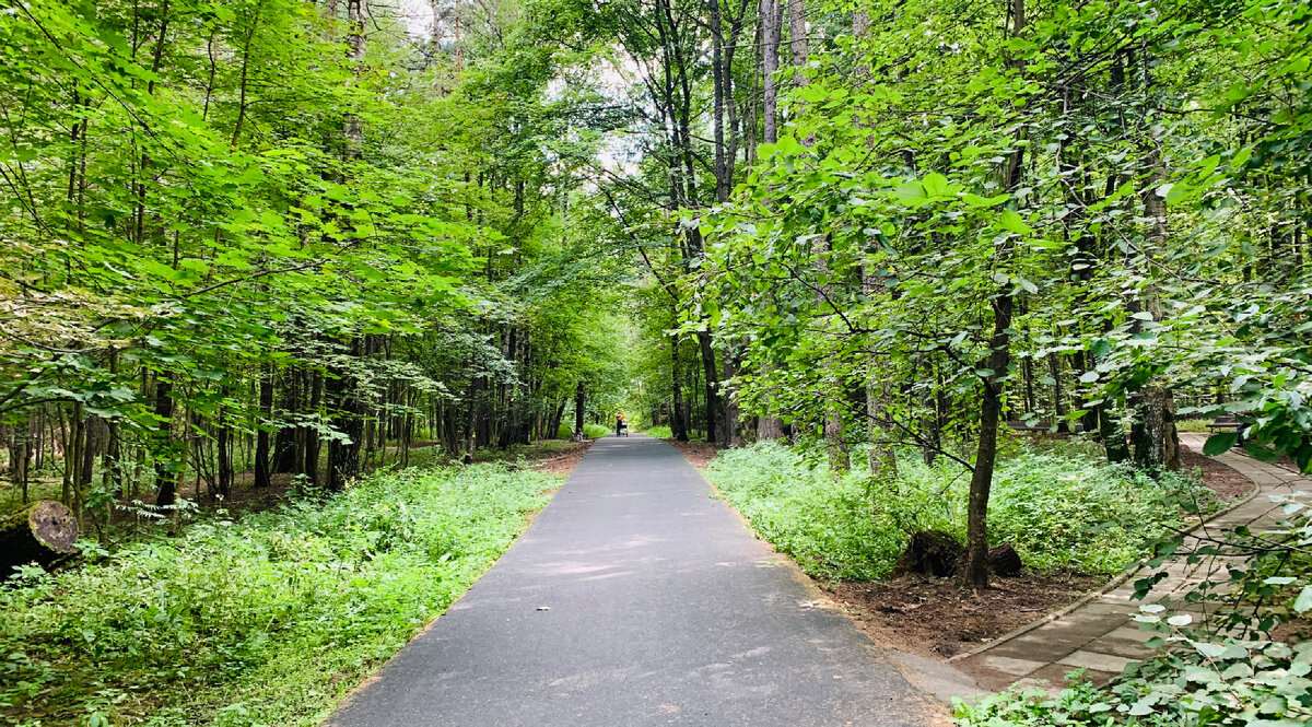 Вход в лесопарк 7-ая Парковая