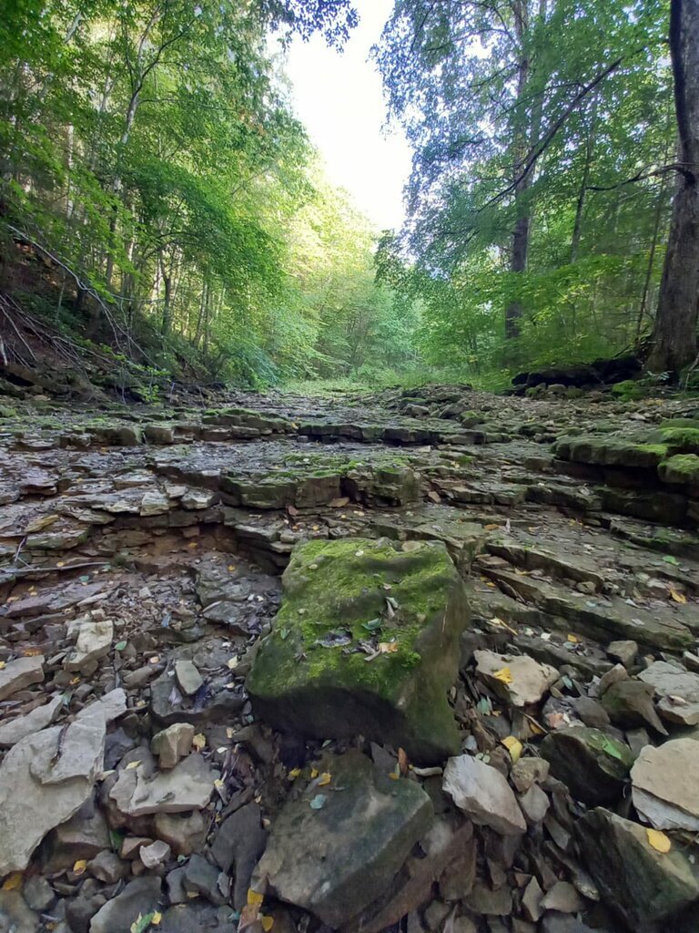 Фото из интернета