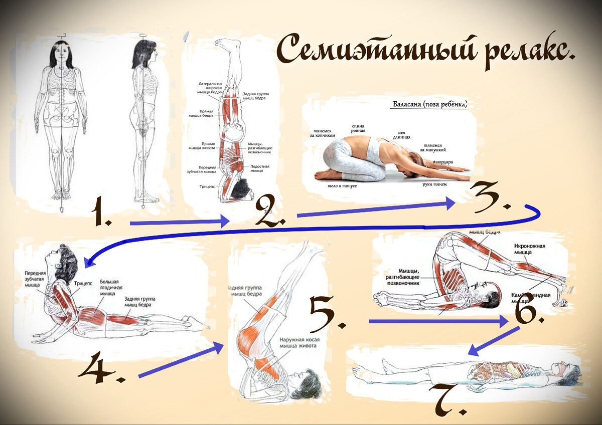 Семь ступеней 