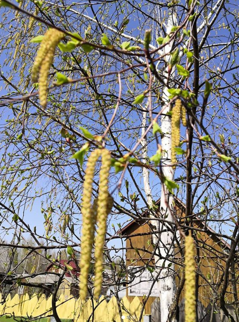 Фото: инстаграм loralora