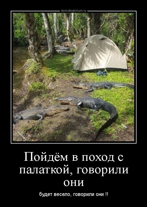 Источник: https://demotivatorium.ru/sstorage/3/2018/03/18123300494002/demotivatorium_ru_pojdem_v_pohod_s_palatkoj_govorili_oni_155258.jpg