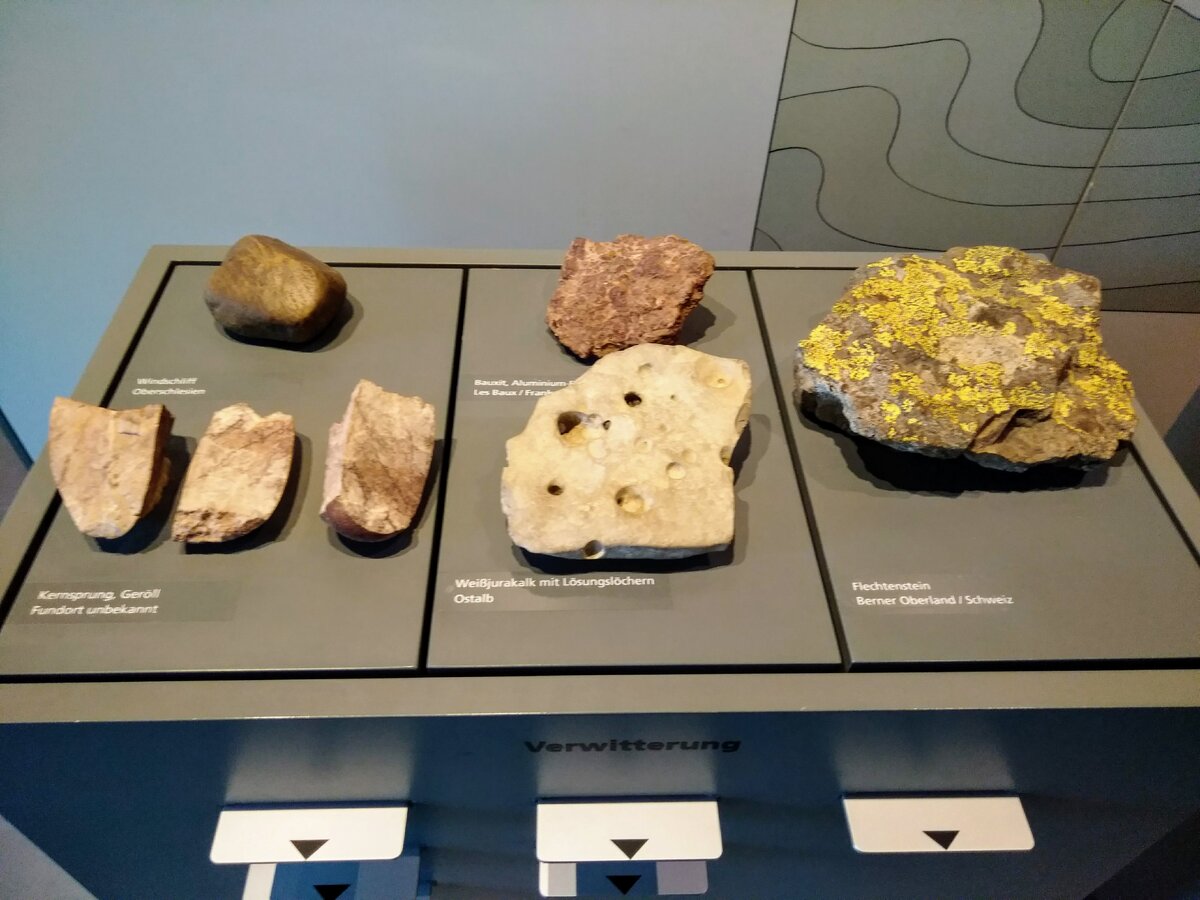 Экспонаты музея