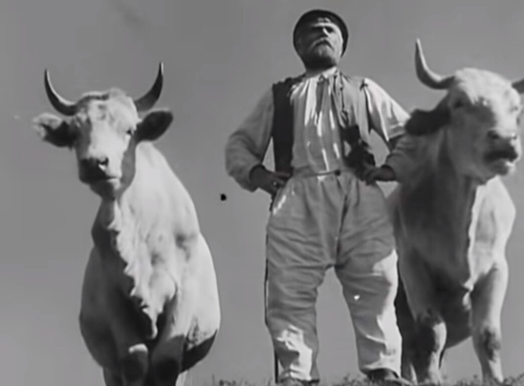 Кадр из "Земли"